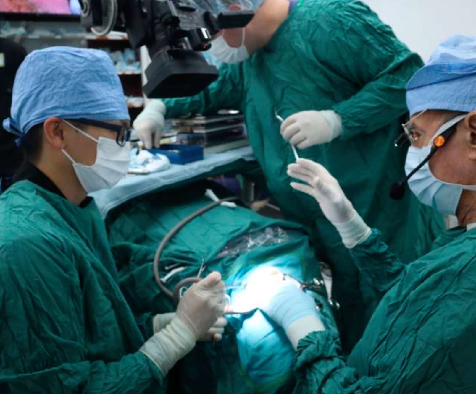 Jacksonville University's Master of Science in Dentistry